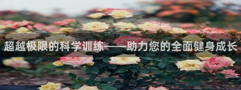意昂4平台